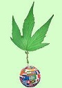 The Espering logo is a spirea leaf as a welcoming palm.